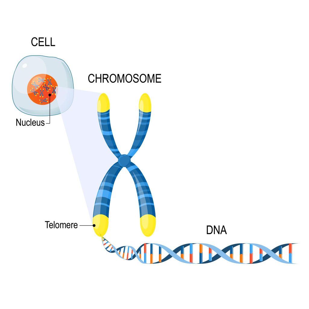 dna peptide therapy